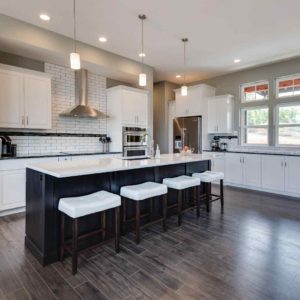 Just White Transitional Kitchen